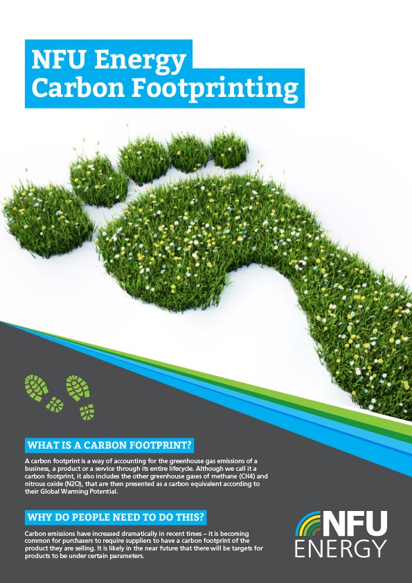 Carbon Footprint guide cover