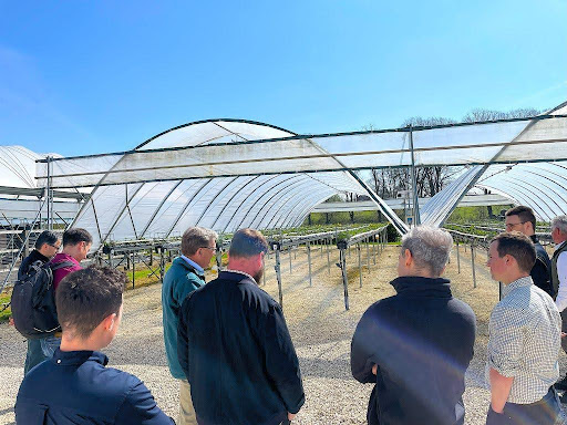 Site tour of the glasshouse construction for Project GASTRO