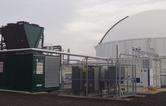 Large white AD plant with CHP Large white AD plant with CHP