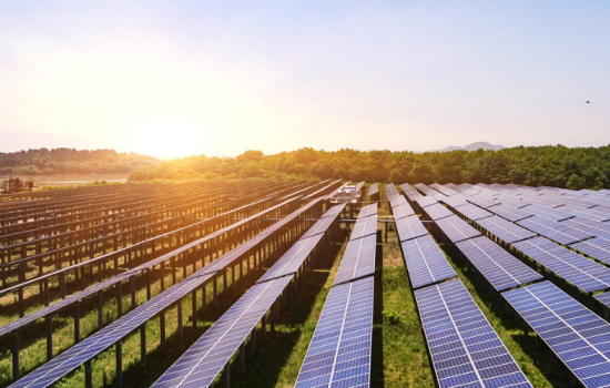 Harnessing the Power of the Sun: Your Guide to Solar Farm Opportunities with NFU Energy