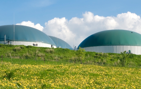 GGSS AD plant