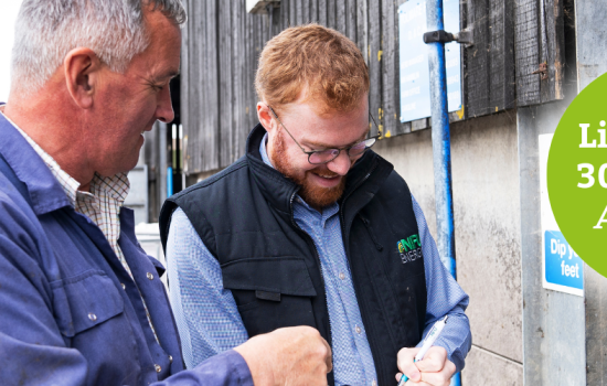 Fully funded decarbonisation pilot for North Yorkshire farmers