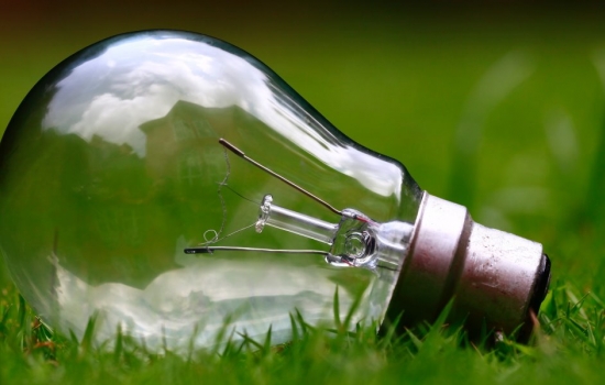 Lightbulb lying in the grass Lightbulb lying in the grass