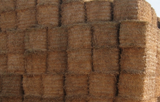 stack of miscanthus bales stack of miscanthus bales