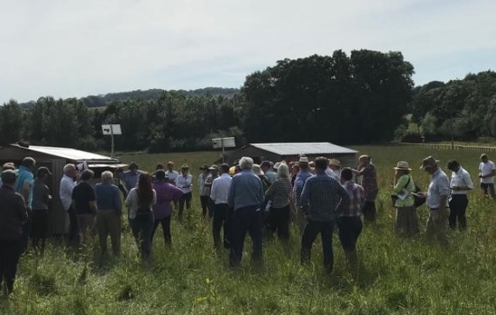 A group of people standing in a farmers field A group of people standing in a farmers field