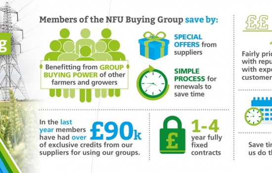 Infographic for electricity buying group Infographic for electricity buying group