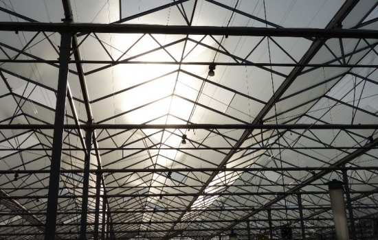 Sunlight through the roof of a glasshouse blog Sunlight through the roof of a glasshouse blog