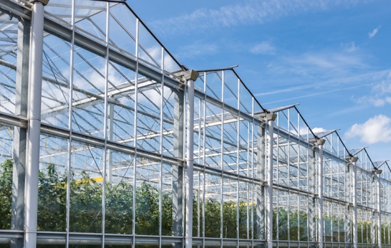 Glasshouse