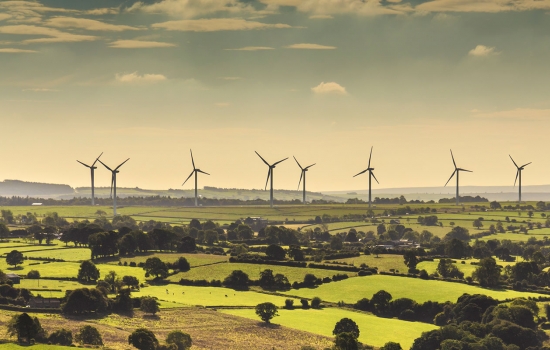 wind farm field