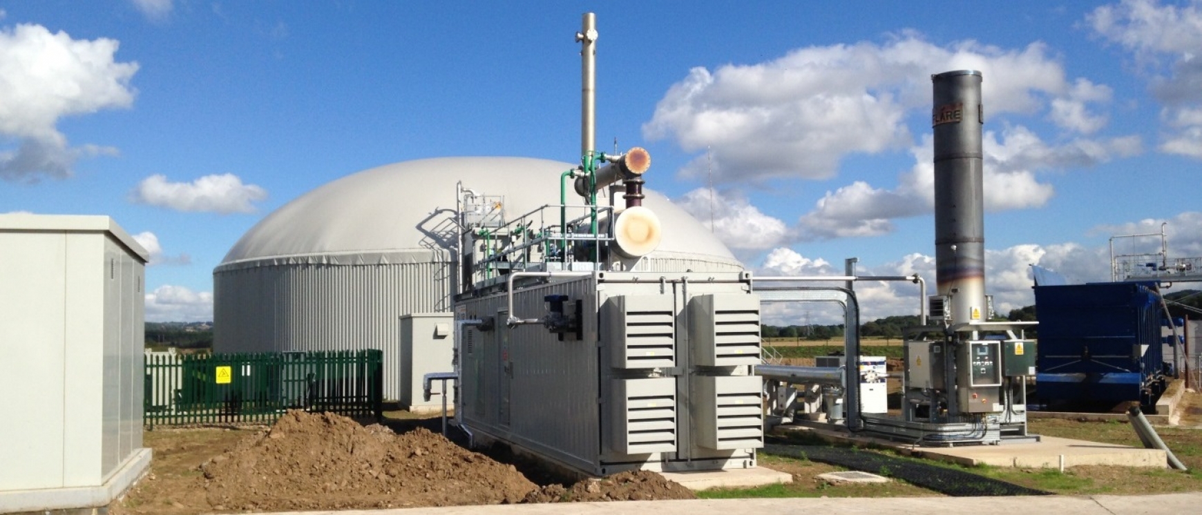 White AD plant with a blue sky background