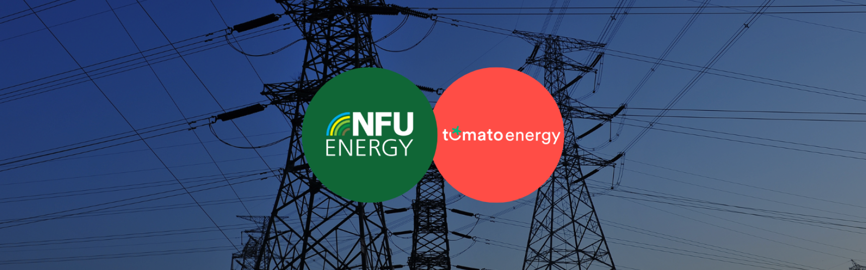 Cultivating Power: Tomato Energy and NFU Energy Introduce a New Era of Agricultural Electricity Supply