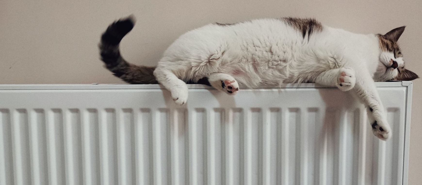 Cat sleeping on top of a radiator