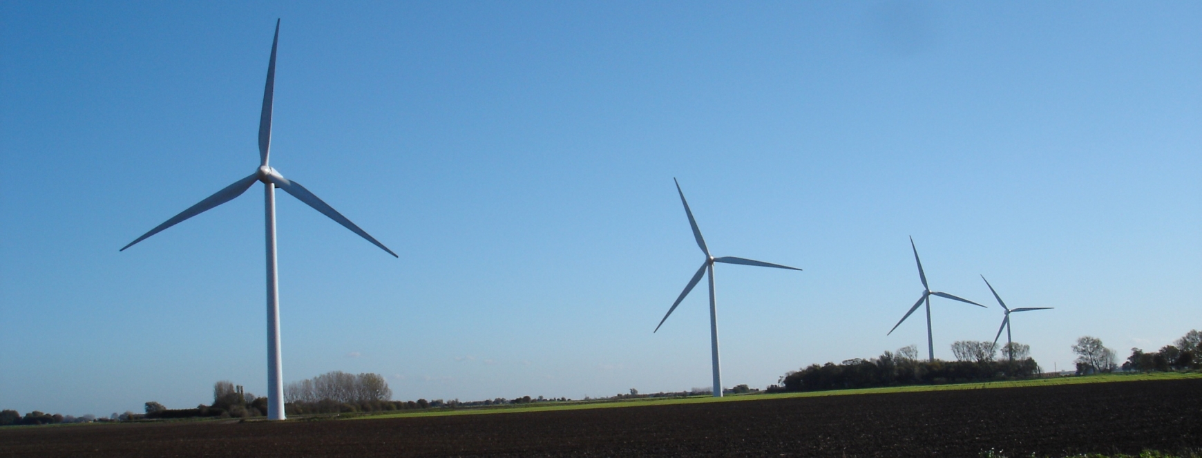 Four wind turbines in a field with blue sky