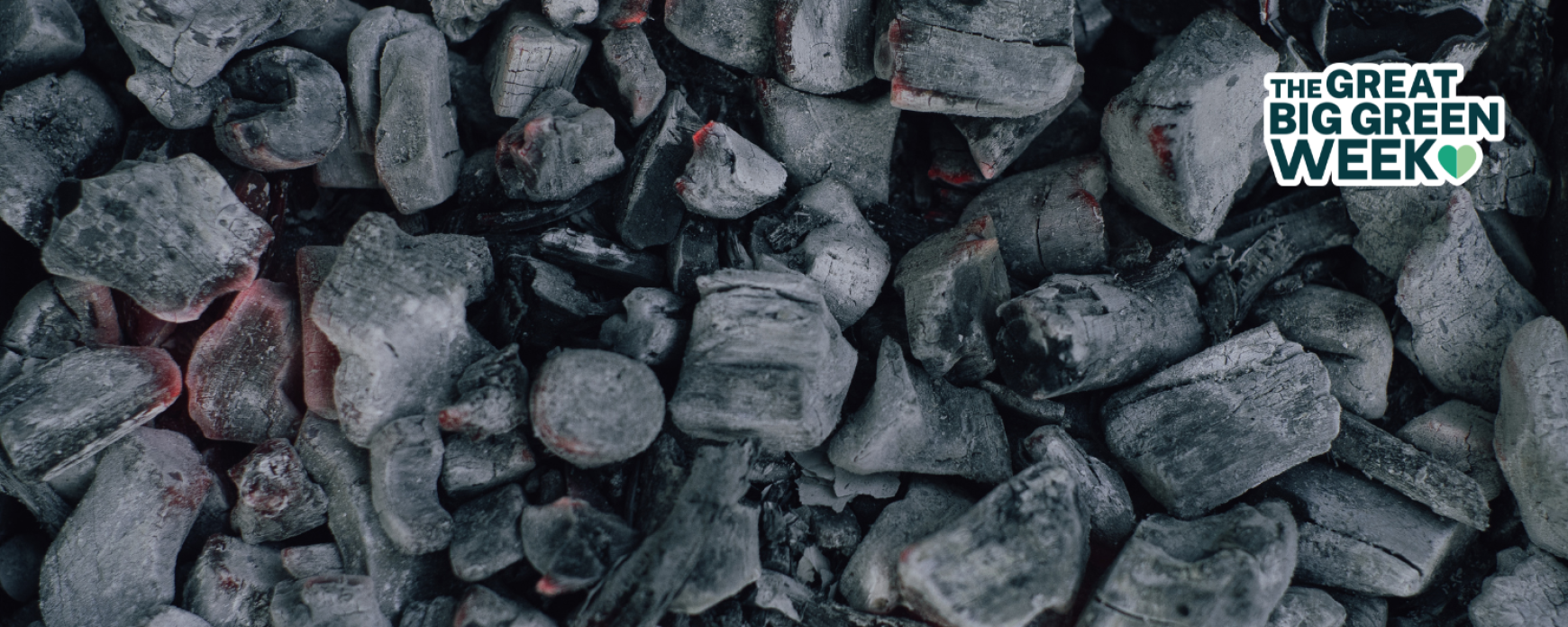 The Environmental Impact of Fossil Fuels vs. Renewable Energy: Making the Switch for a Healthier Planet
