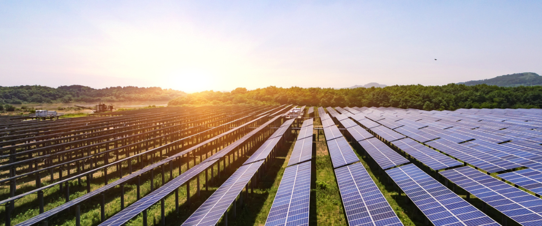 Harnessing the Power of the Sun: Your Guide to Solar Farm Opportunities with NFU Energy