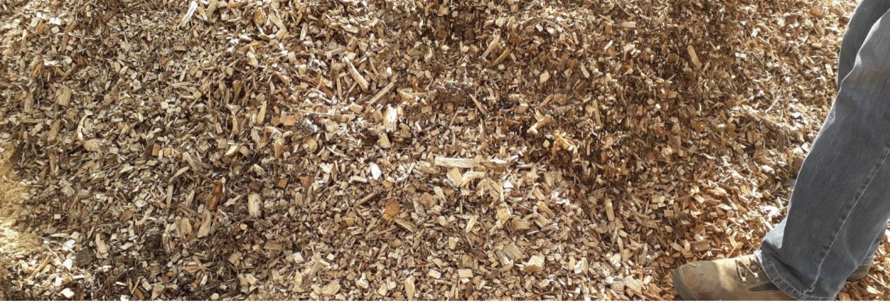 A close up on a pile of wood chip