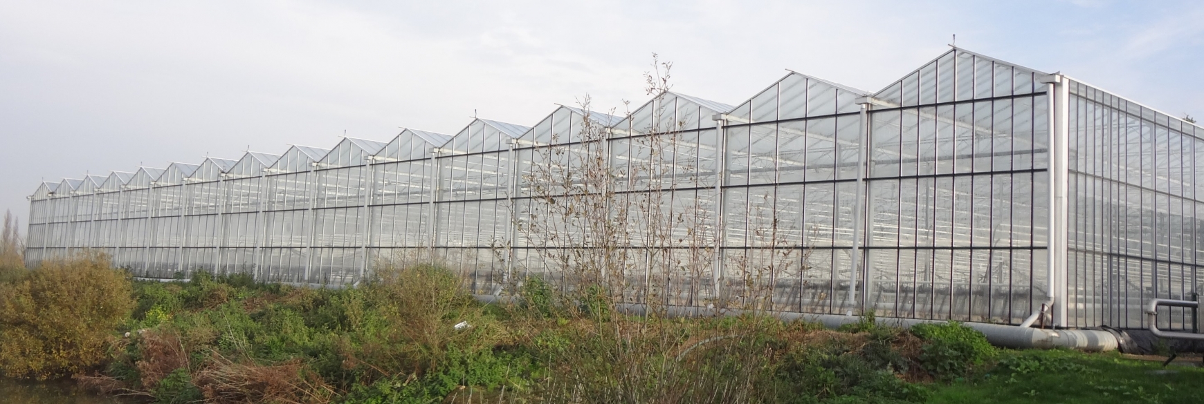 Outside of a greenhouse in the winter