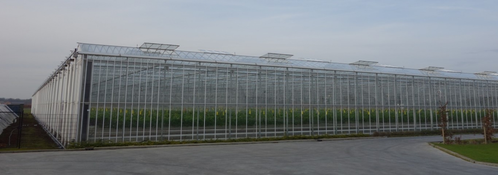 A greenhouse with its roof vents open