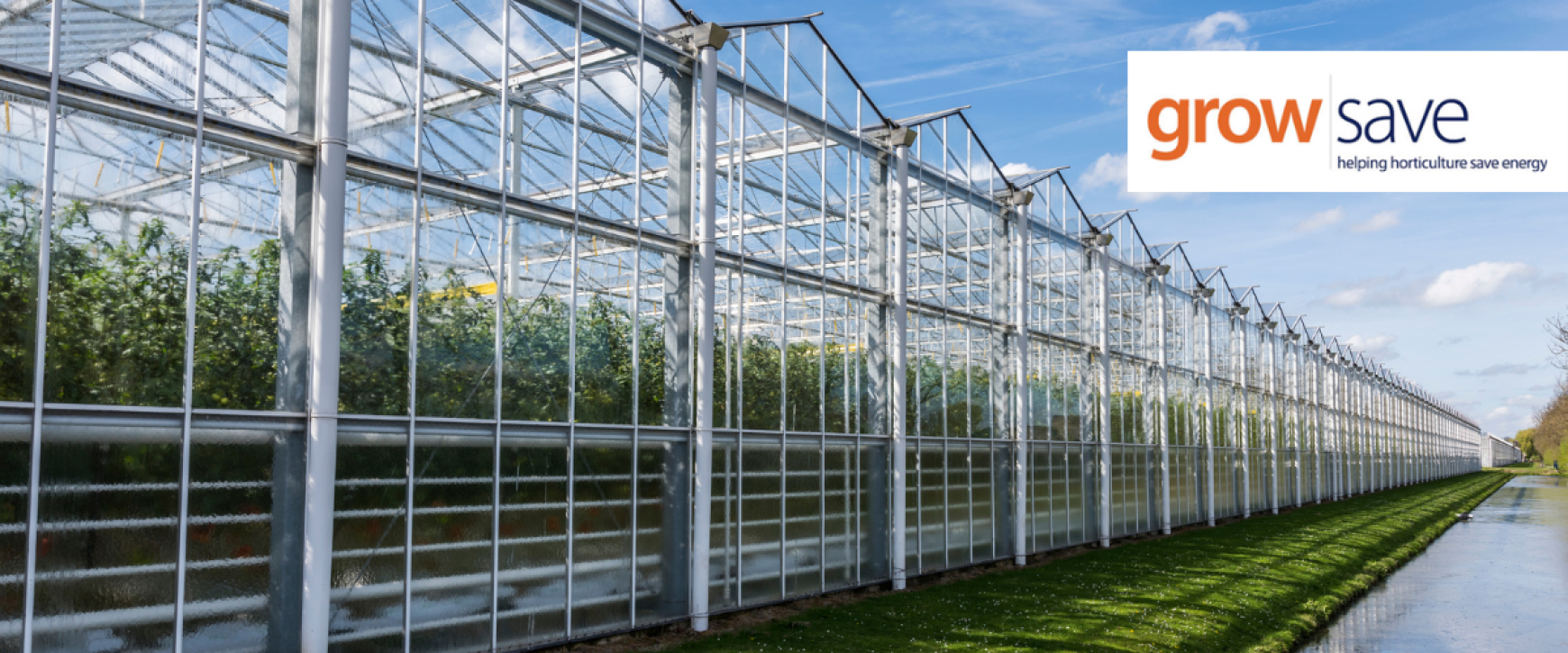 Exploring Innovation and Efficiency in Greenhouse Crop Growing: Join the GrowSave Study Tour to the Netherlands