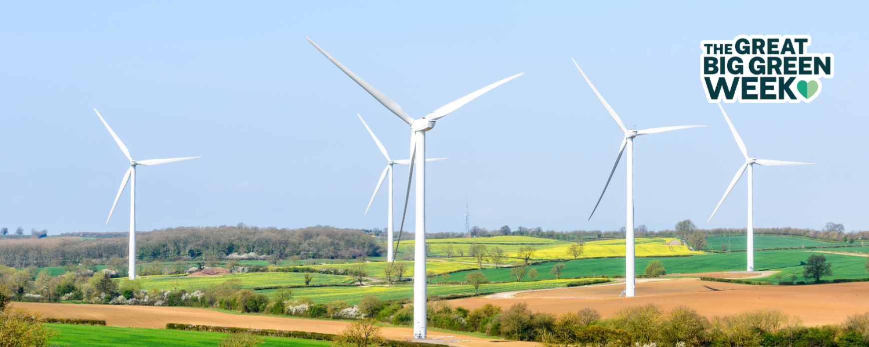 Your Guide to Switching to Renewables: A Step-by-Step Process