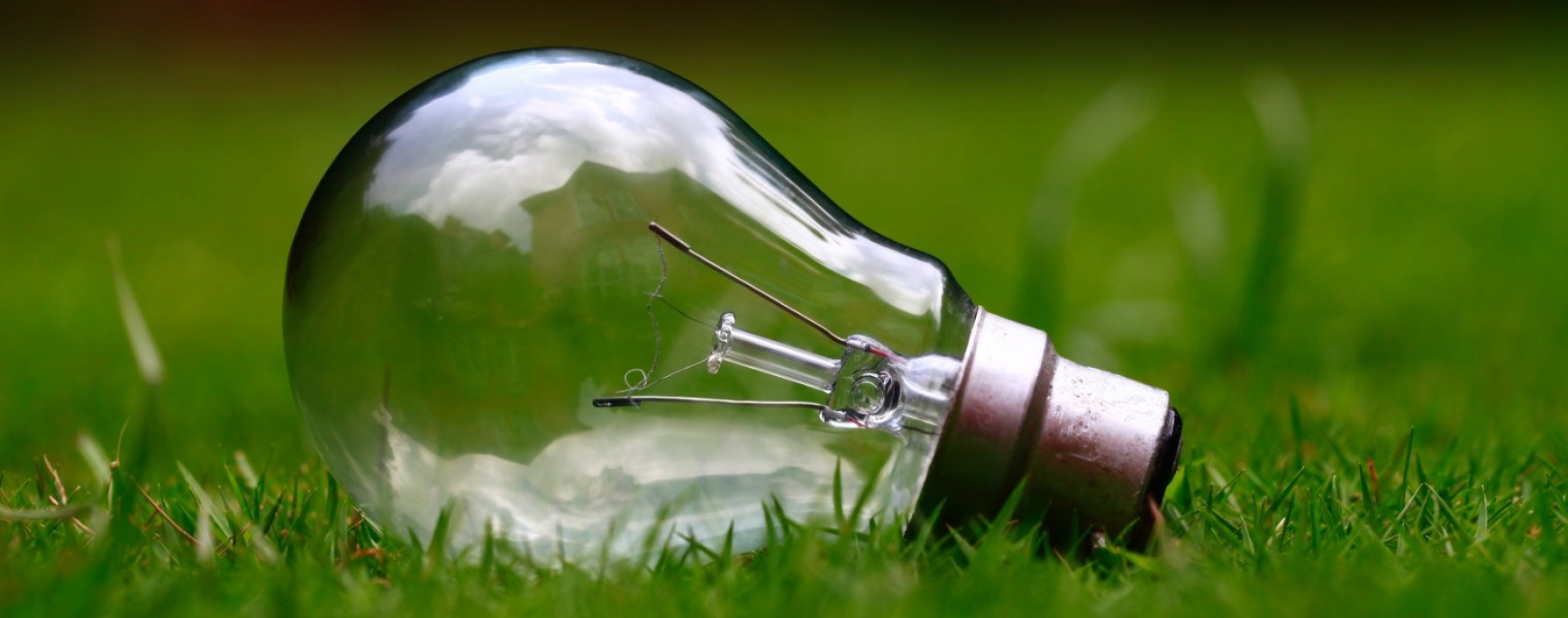 Lightbulb lying in the grass