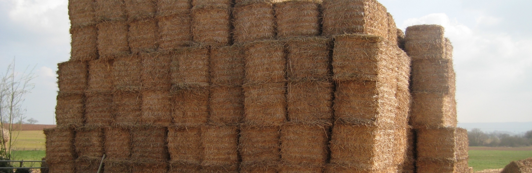 stack of miscanthus bales