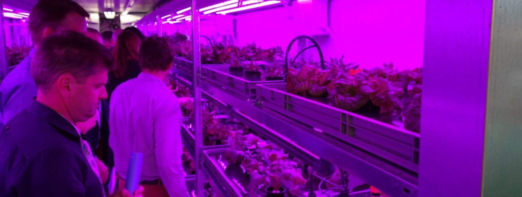 People looking at an example of vertical farming