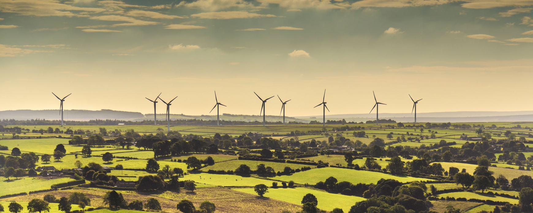 wind farm field