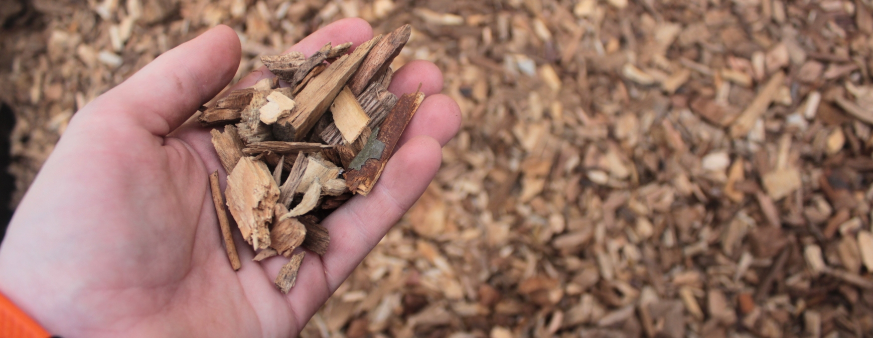 Woodchip in a hand with more in the background