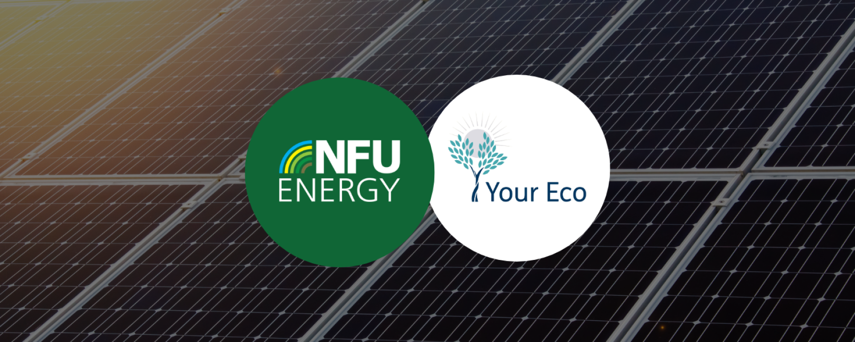 Introducing Your Eco: Our New Partner in Renewable Energy Solutions
