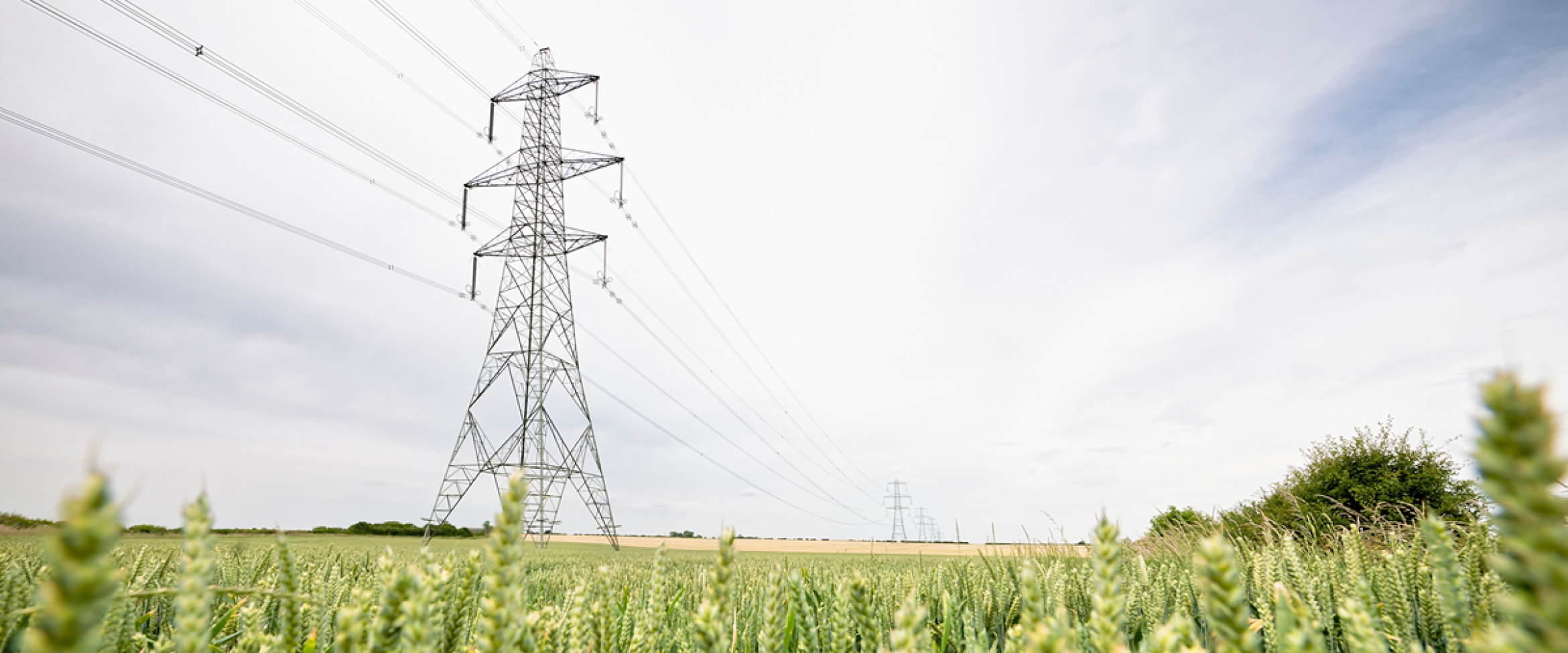 Electricity pylon in a field